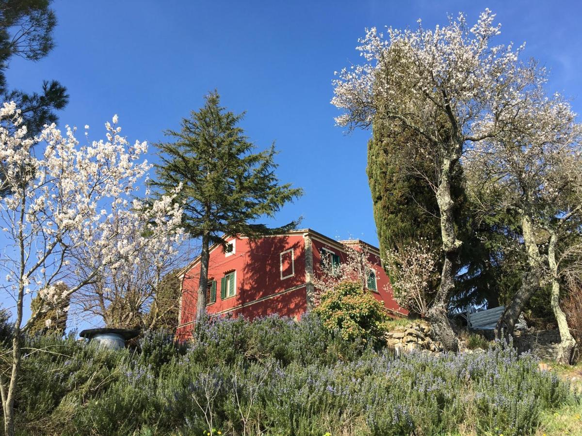Piccola Casa Toscana Con Giardino Con Vista Mozzafiato Podere Cordicella Exteriér fotografie